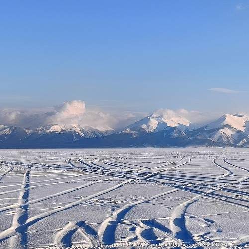 Photo #11760939