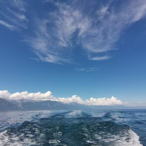 Photo #11760941
