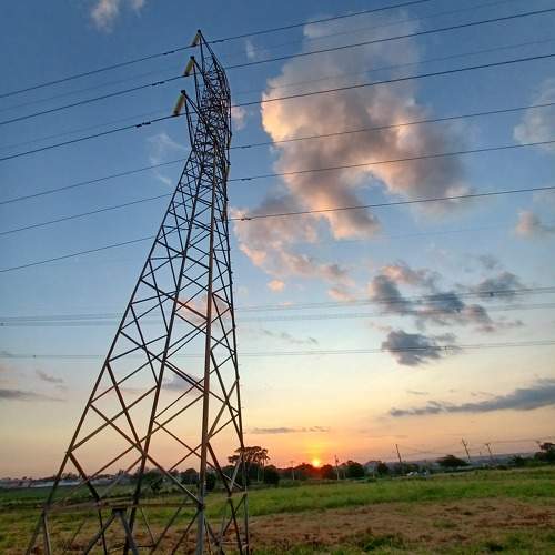 Photo #11760949