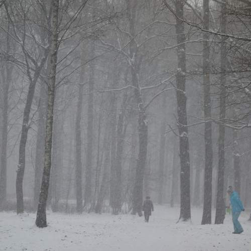 Photo #11761212