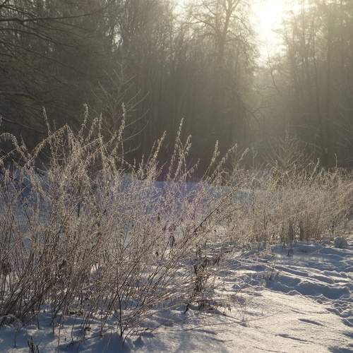 Photo #11761221