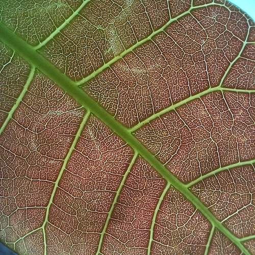 Photo #11761388