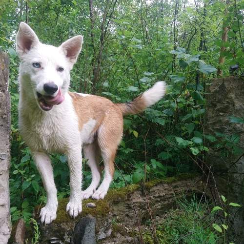 Photo #11761425
