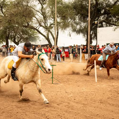 Фотография #11761494