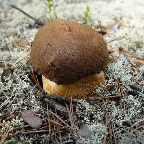 Photo #11761544