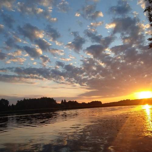 Photo #11761818