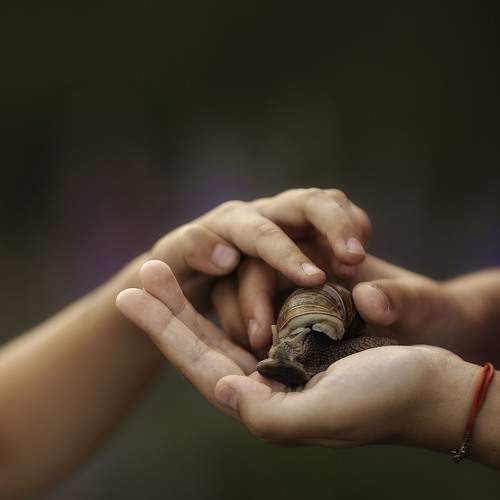 Photo #11761855