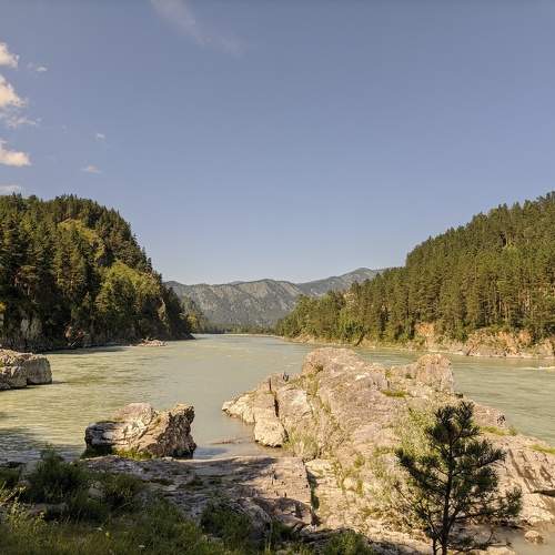 Photo #11761886