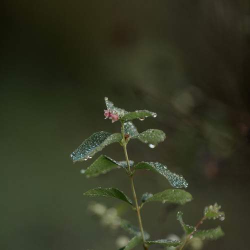 Photo #11761888