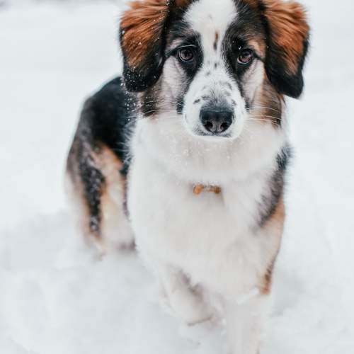 Photo #11761940