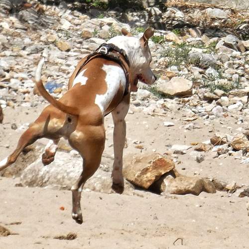 Photo #11762038