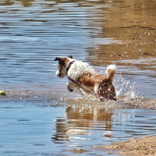 Photo #11762040