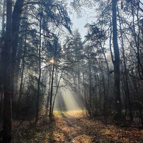 Photo #11762074