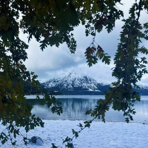 Photo #11762114