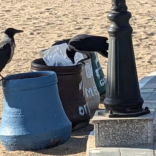Photo #11762235