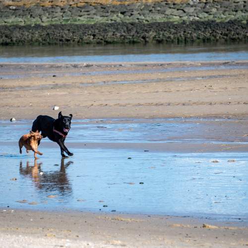 Photo #11762475