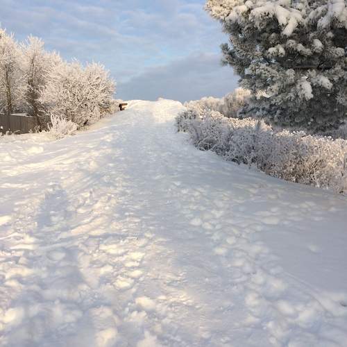 Photo #11762636
