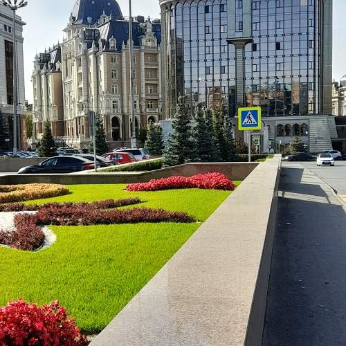 Photo #11762646