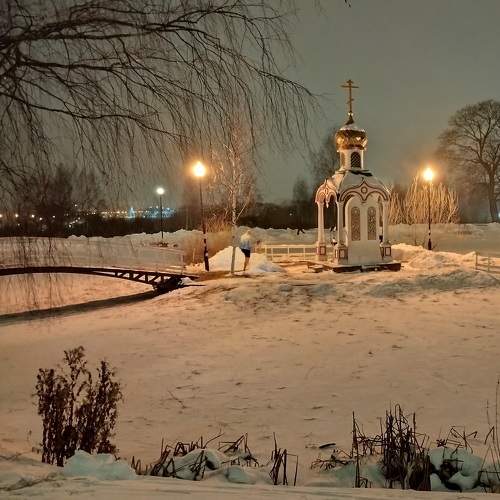 Photo #11762841