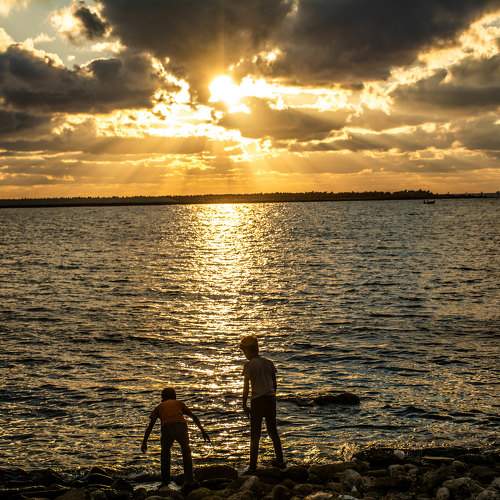 Photo #11763054