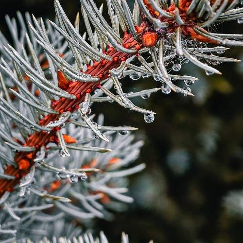 Photo #11763113