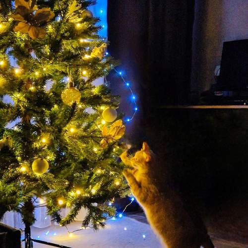 Photo #11763170
