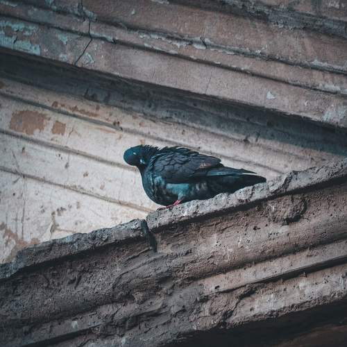 Photo #11763172