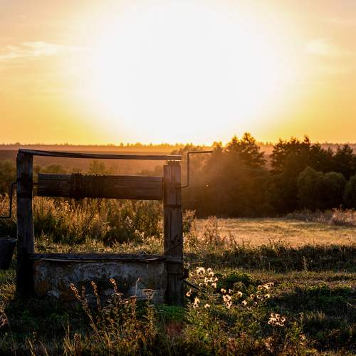 Photo #11763449
