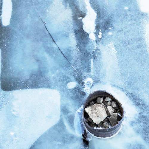 Photo #11763651