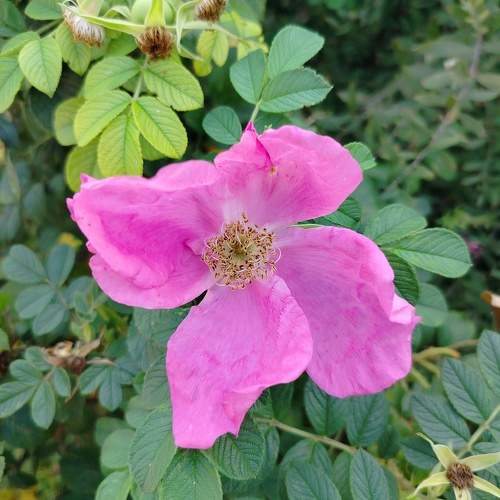 Photo #11763849