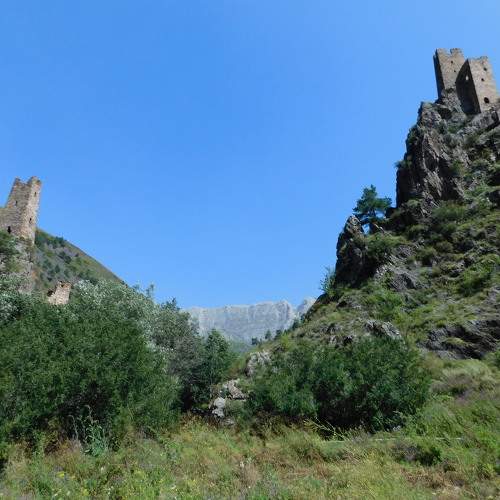 Photo #11764093