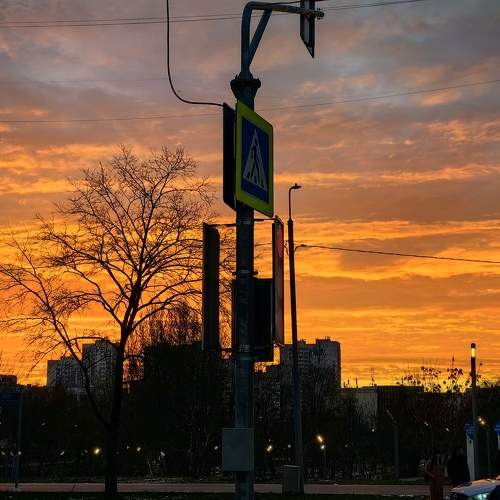 Photo #11764113