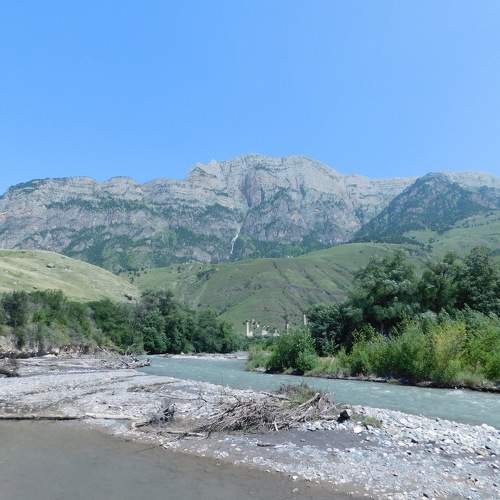 Photo #11764123