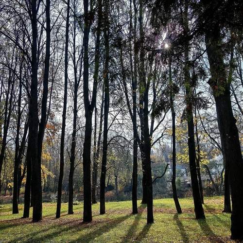 Photo #11764192