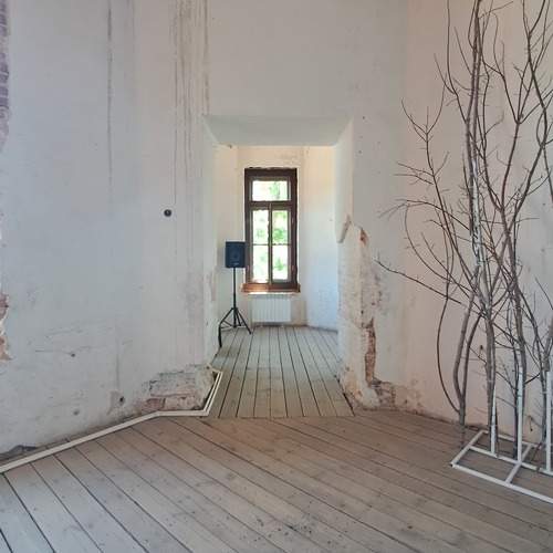 Photo #11764232