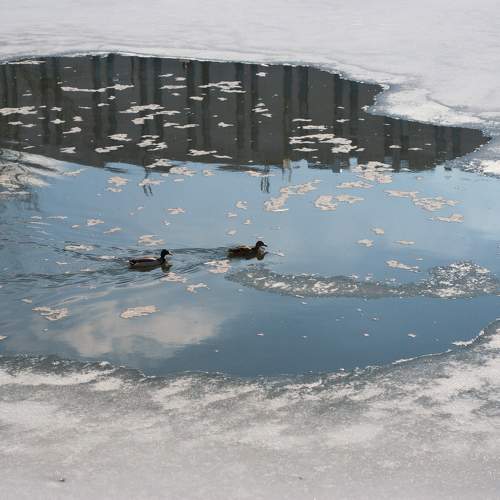 Photo #11764317