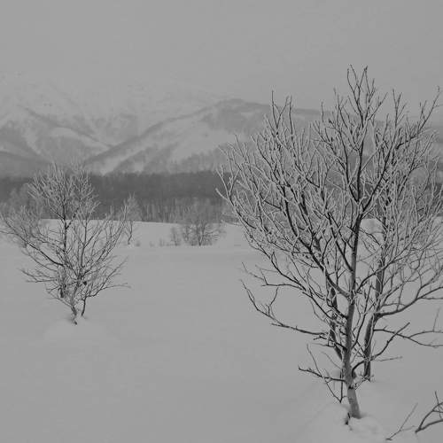 Photo #11764338