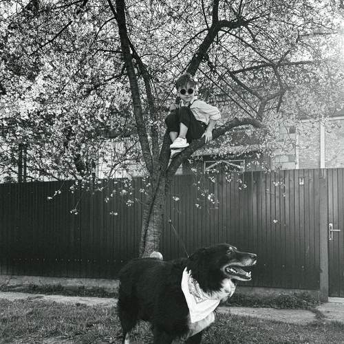 Photo #11764361