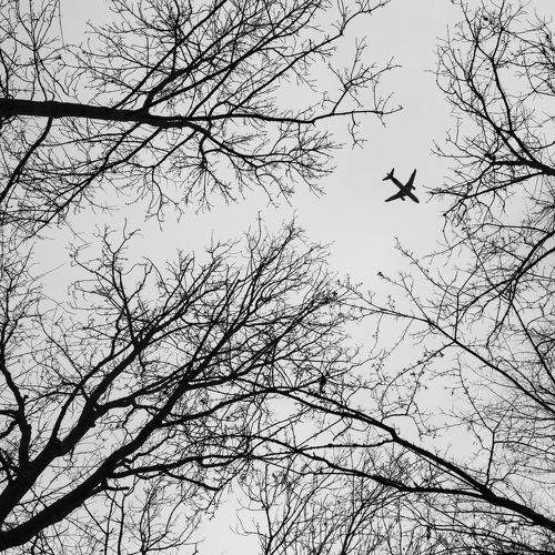 Photo #11764630