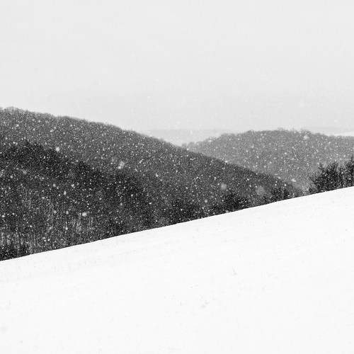 Photo #11764648