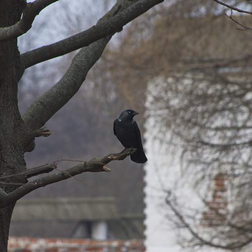Photo #11764745