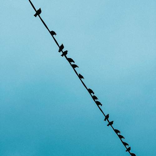 Photo #11765012