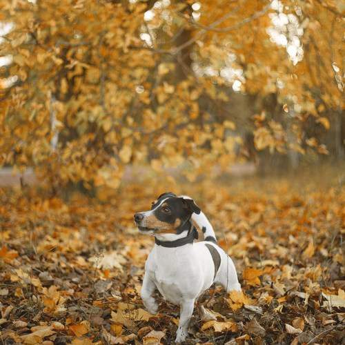 Photo #11765026