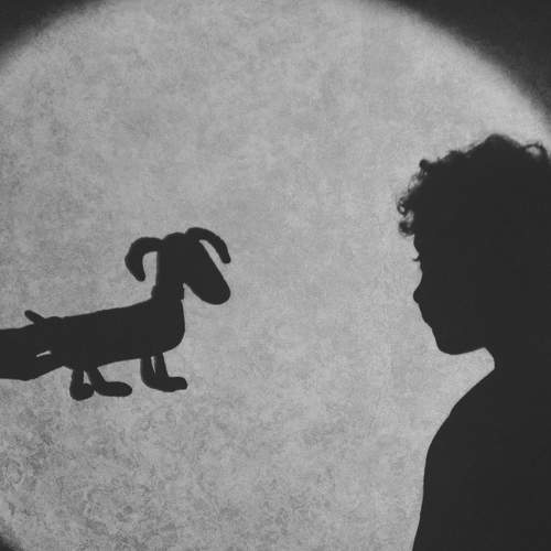 Фотография #11765029