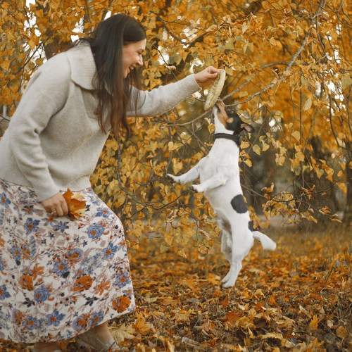 Photo #11765037