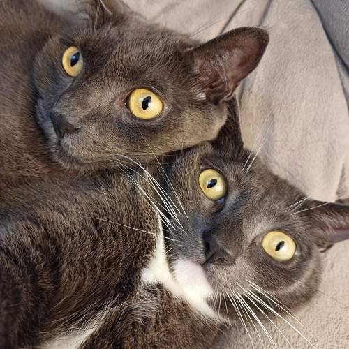 Photo #11765397