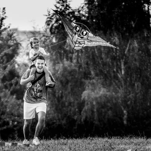 Photo #11765440