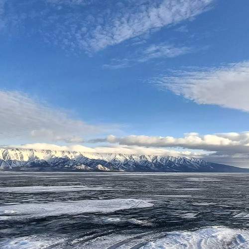 Photo #11765480