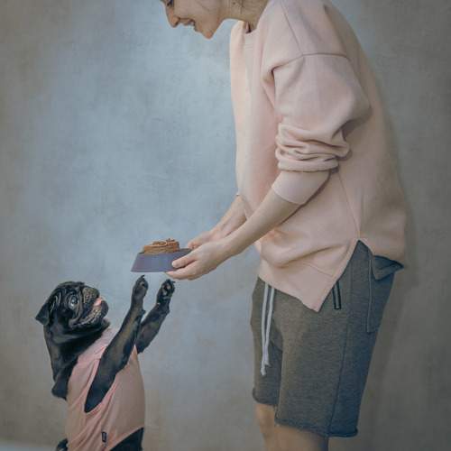 Photo #11765516