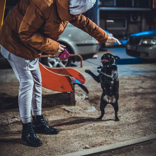 Photo #11765517
